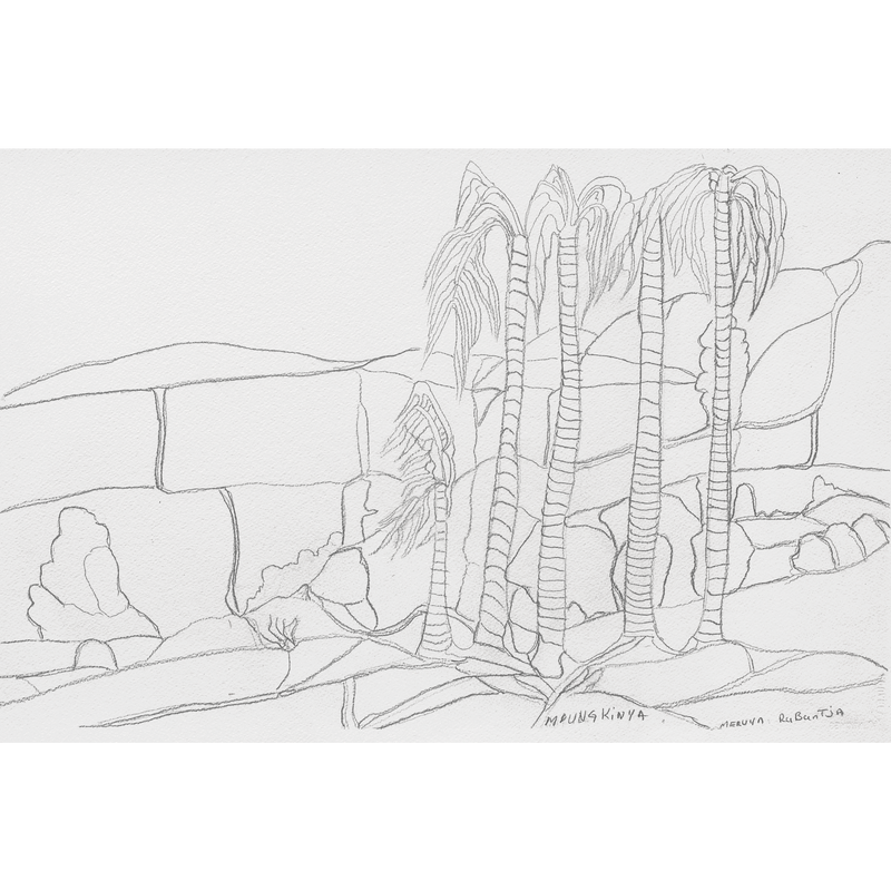 Aboriginal Artwork by Mervyn Rubuntja, Alyape (Palm Valley), NT, 54x36cm