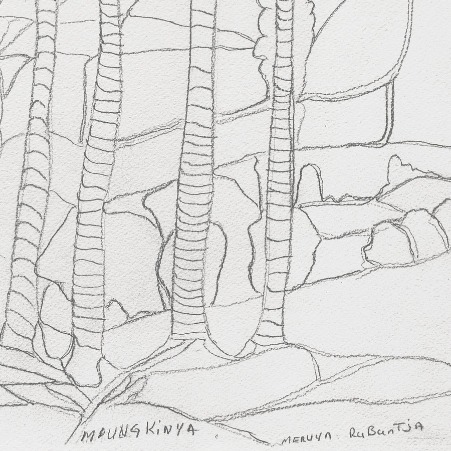 Aboriginal Artwork by Mervyn Rubuntja, Alyape (Palm Valley), NT, 54x36cm