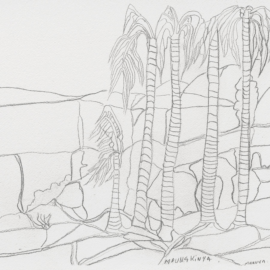 Aboriginal Artwork by Mervyn Rubuntja, Alyape (Palm Valley), NT, 54x36cm