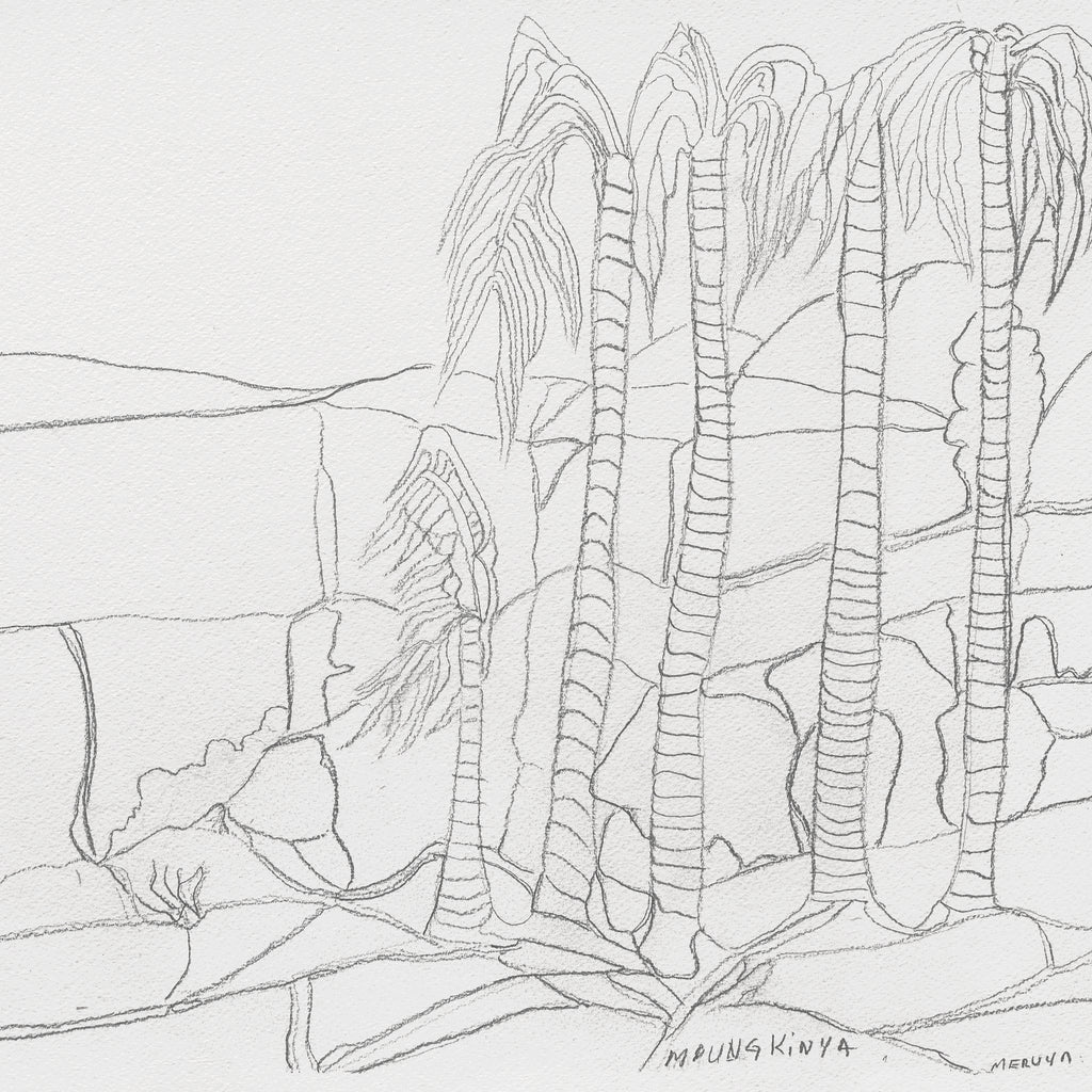 Aboriginal Artwork by Mervyn Rubuntja, Alyape (Palm Valley), NT, 54x36cm