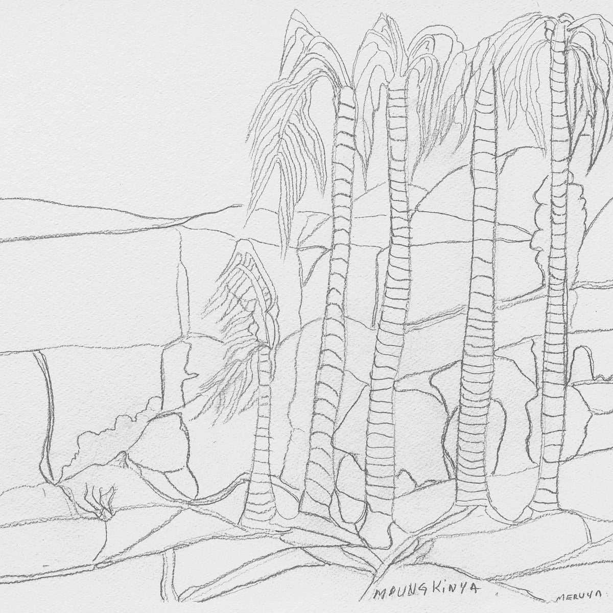 Aboriginal Artwork by Mervyn Rubuntja, Alyape (Palm Valley), NT, 54x36cm