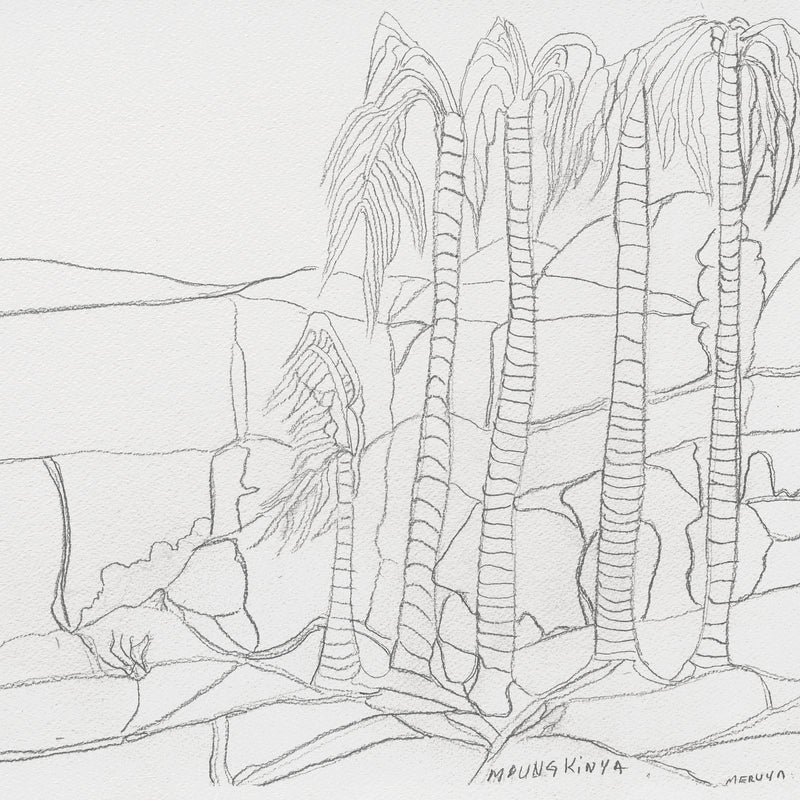 Aboriginal Artwork by Mervyn Rubuntja, Alyape (Palm Valley), NT, 54x36cm