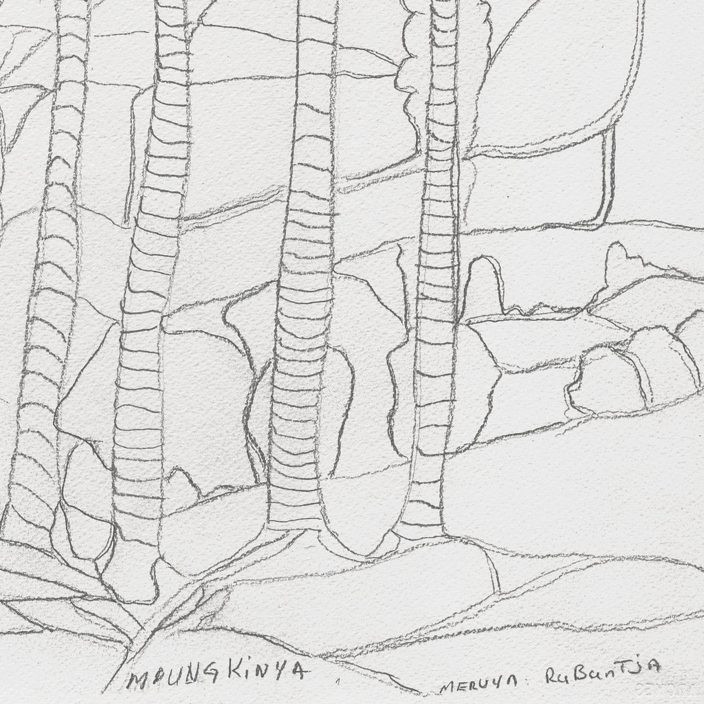 Aboriginal Artwork by Mervyn Rubuntja, Alyape (Palm Valley), NT, 54x36cm