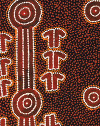 Aboriginal Artwork by Michael Japaljarri Wayne, Marlu Jukurrpa (Red Kangaroo Dreaming) Yarnardilyi & Jurnti, 50x40cm
