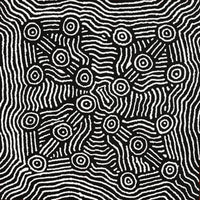 Aboriginal Artwork by Michael Jangala Gallagher, Yankirri Jukurrpa (Emu Dreaming) - Ngarlikurlangu, 76x76cm