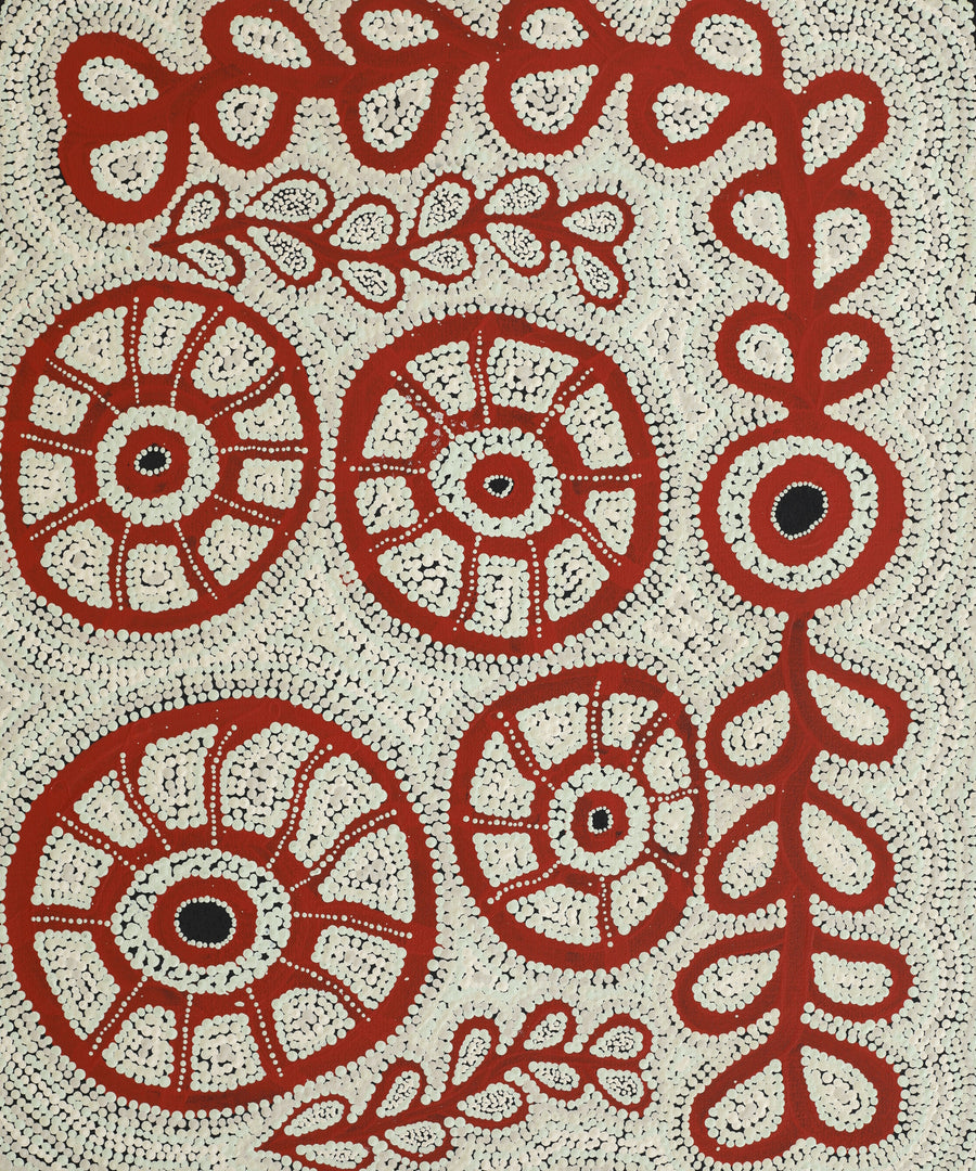 Michelle Inkamala, Ili (Desert fig tree), 60x50cm