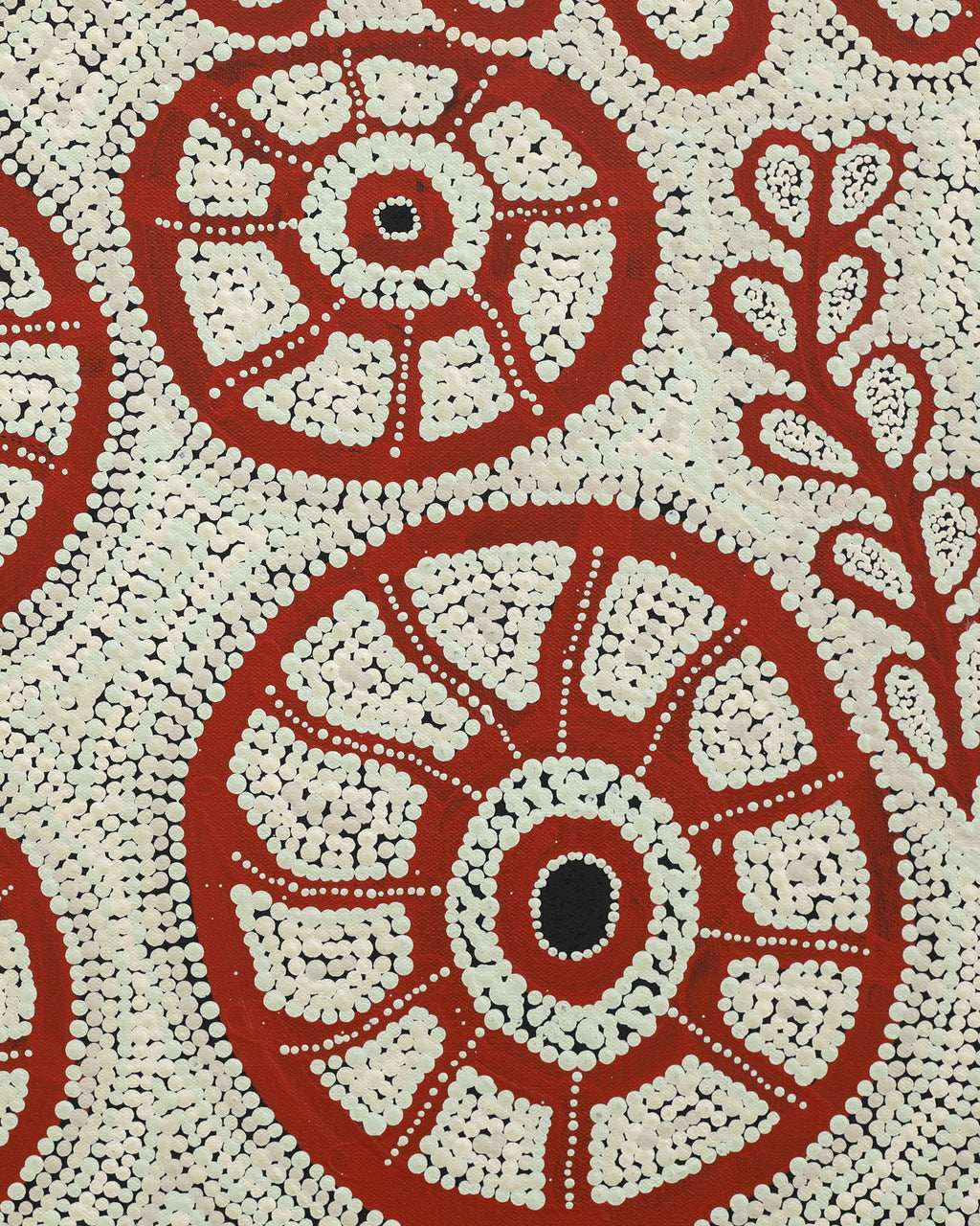 Michelle Inkamala, Ili (Desert fig tree), 60x50cm