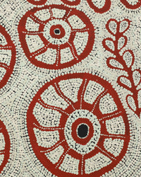 Michelle Inkamala, Ili (Desert fig tree), 60x50cm