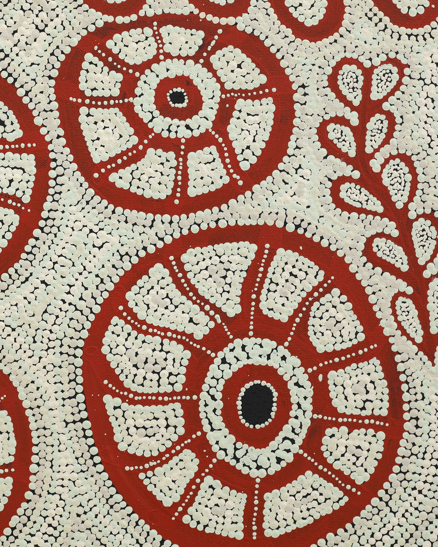 Michelle Inkamala, Ili (Desert fig tree), 60x50cm