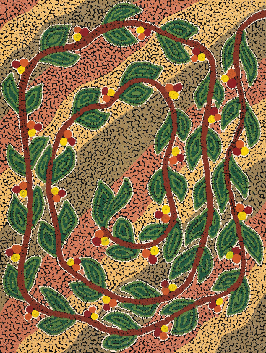 Aboriginal Artwork by Michelle Inkamala, Ili (Desert fig tree), 61x46cm