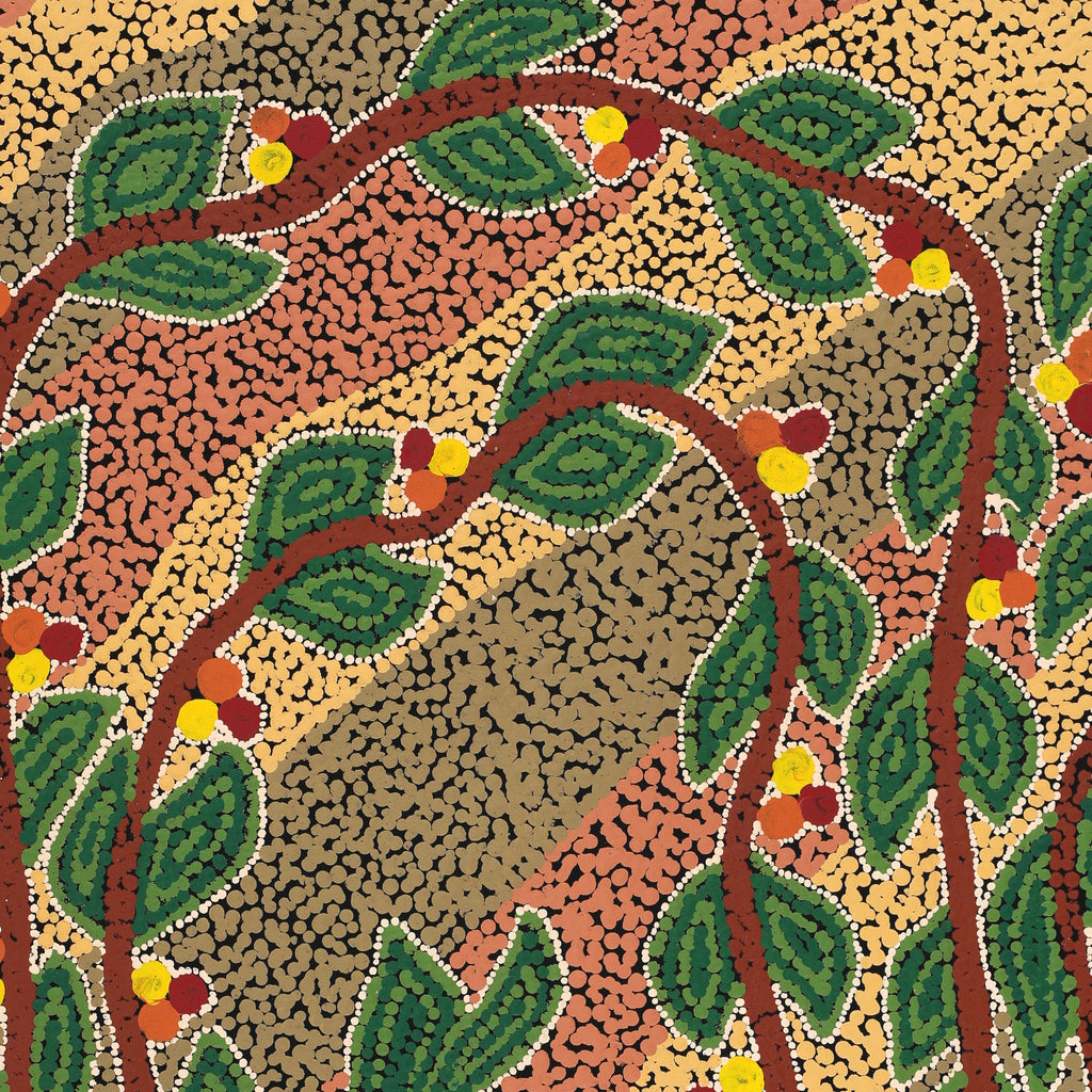 Aboriginal Artwork by Michelle Inkamala, Ili (Desert fig tree), 61x46cm