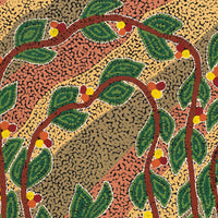 Aboriginal Artwork by Michelle Inkamala, Ili (Desert fig tree), 61x46cm