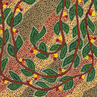 Aboriginal Artwork by Michelle Inkamala, Ili (Desert fig tree), 61x46cm