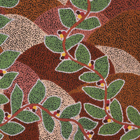 Aboriginal Artwork by Michelle Inkamala, Ili (Desert fig tree), 91x76cm
