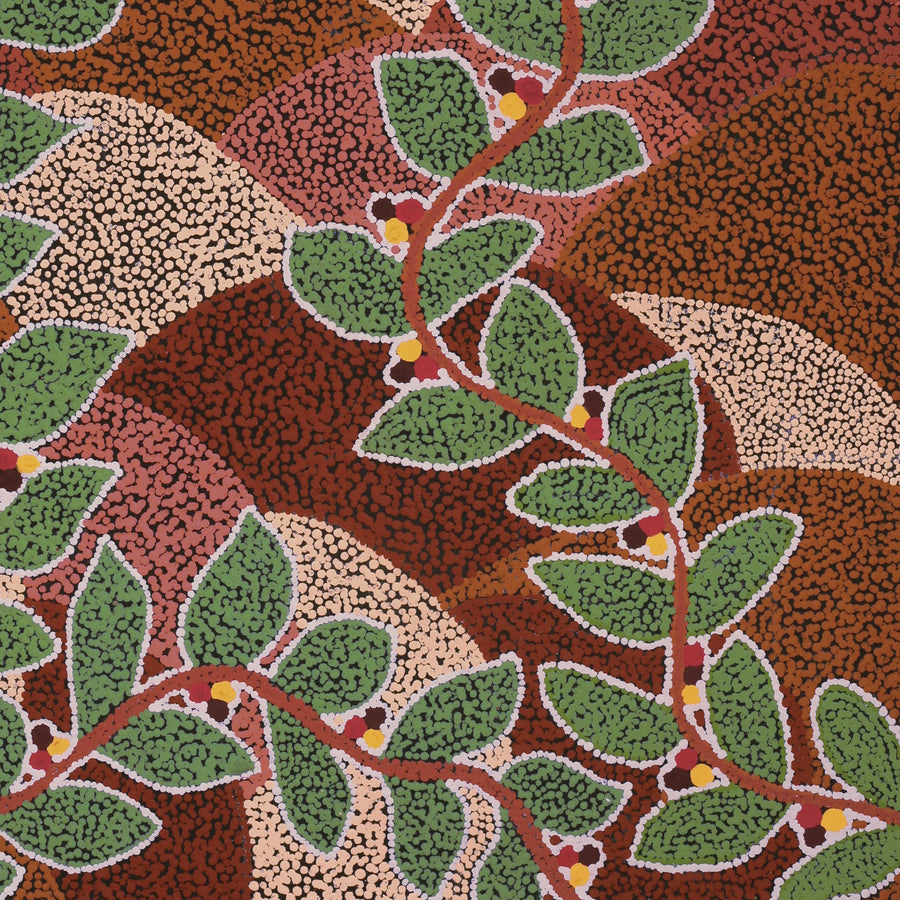 Aboriginal Artwork by Michelle Inkamala, Ili (Desert fig tree), 91x76cm