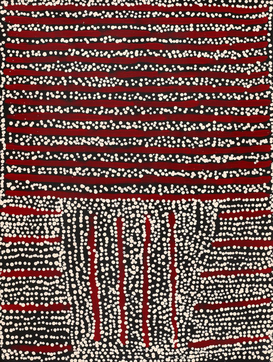 Aboriginal Artwork by Mitchell Japanangka Martin, Mina Mina Jukurrpa, 61x46cm