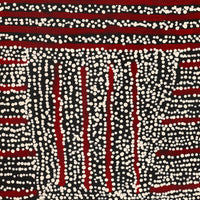 Aboriginal Artwork by Mitchell Japanangka Martin, Mina Mina Jukurrpa, 61x46cm