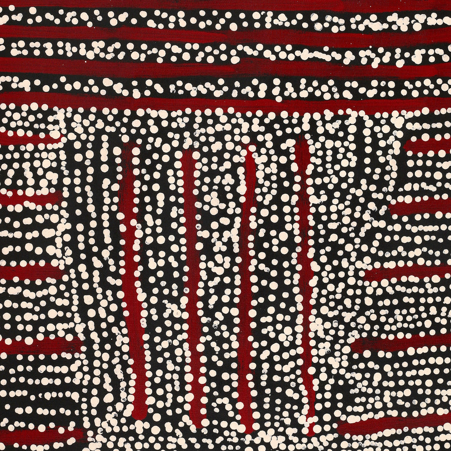 Aboriginal Artwork by Mitchell Japanangka Martin, Mina Mina Jukurrpa, 61x46cm