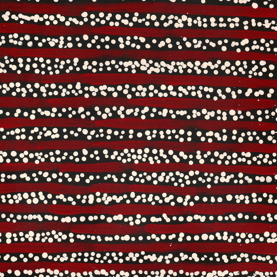 Aboriginal Artwork by Mitchell Japanangka Martin, Mina Mina Jukurrpa, 61x46cm