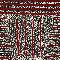 Aboriginal Art by Mitchell Japanangka Martin, Mina Mina Jukurrpa, 61x46cm - ART ARK®