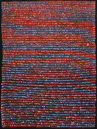 Aboriginal Artwork by Mitchell Japanangka Martin, Mina Mina Jukurrpa, 61x46cm