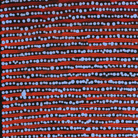 Aboriginal Artwork by Mitchell Japanangka Martin, Mina Mina Jukurrpa, 61x46cm