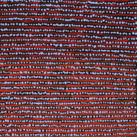 Aboriginal Artwork by Mitchell Japanangka Martin, Mina Mina Jukurrpa, 61x46cm