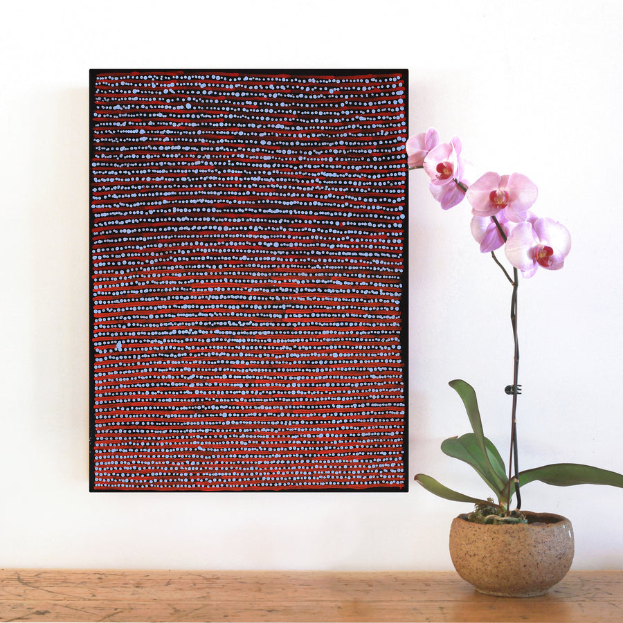 Aboriginal Artwork by Mitchell Japanangka Martin, Mina Mina Jukurrpa, 61x46cm