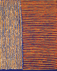 Aboriginal Artwork by Mitchell Japanangka Martin, Mina Mina Jukurrpa, 76x46cm