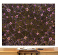 Molly Brown, Untitled, 152x122cm