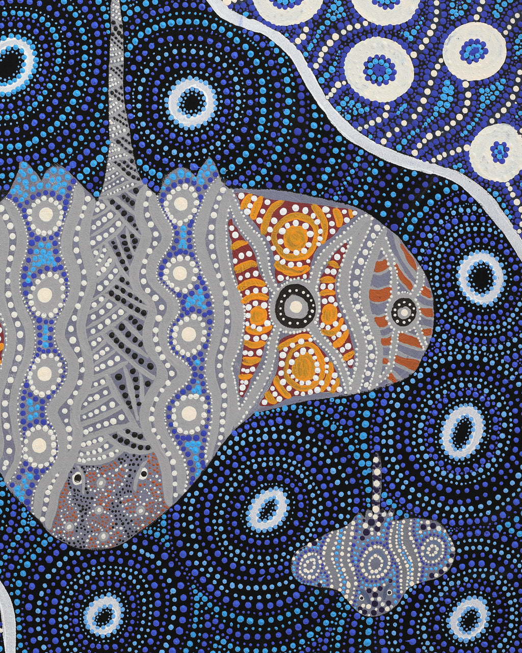 Mona Lewis, Sting Ray, 81x61cm