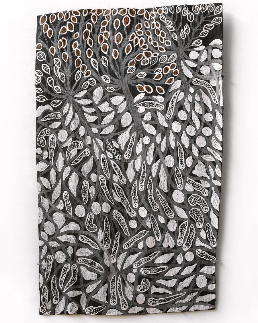 Aboriginal Artwork by Muluymuluy Wirrpanda, Gathul - Mangroves, 88x54cm Bark