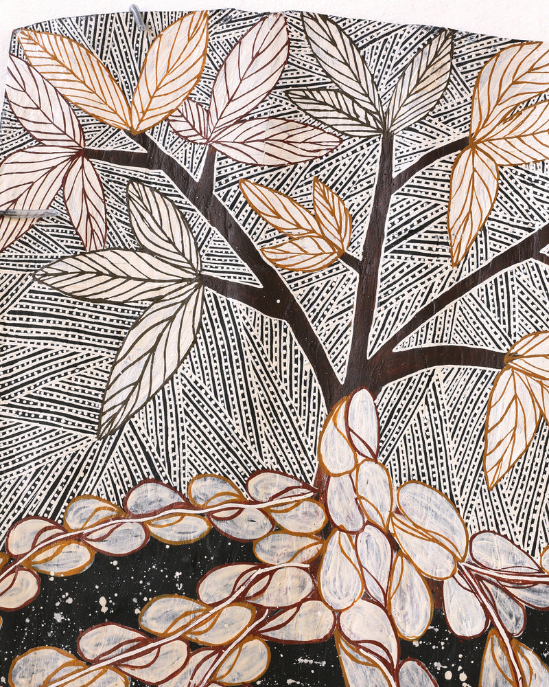 Munhala Dhamarrandji, Batjimurruŋu 99x70cm Bark