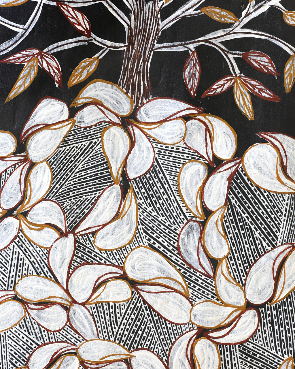 Munhala Dhamarrandji, Batjimurruŋu 53x31cm