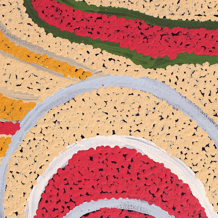 Aboriginal Artwork by Nancy Paddy, Ngura Tjuta: Big Country, 76x61cm