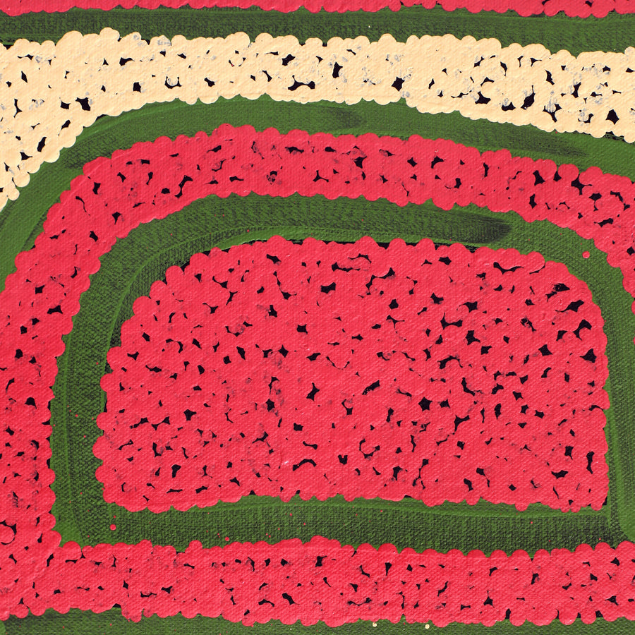 Aboriginal Artwork by Nancy Paddy, Ngura Tjuta: Big Country, 76x61cm