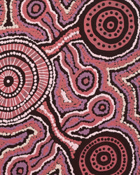 Aboriginal Artwork by Napurru Shirona Dunn, Piltati Tjukurpa, 61x43cm