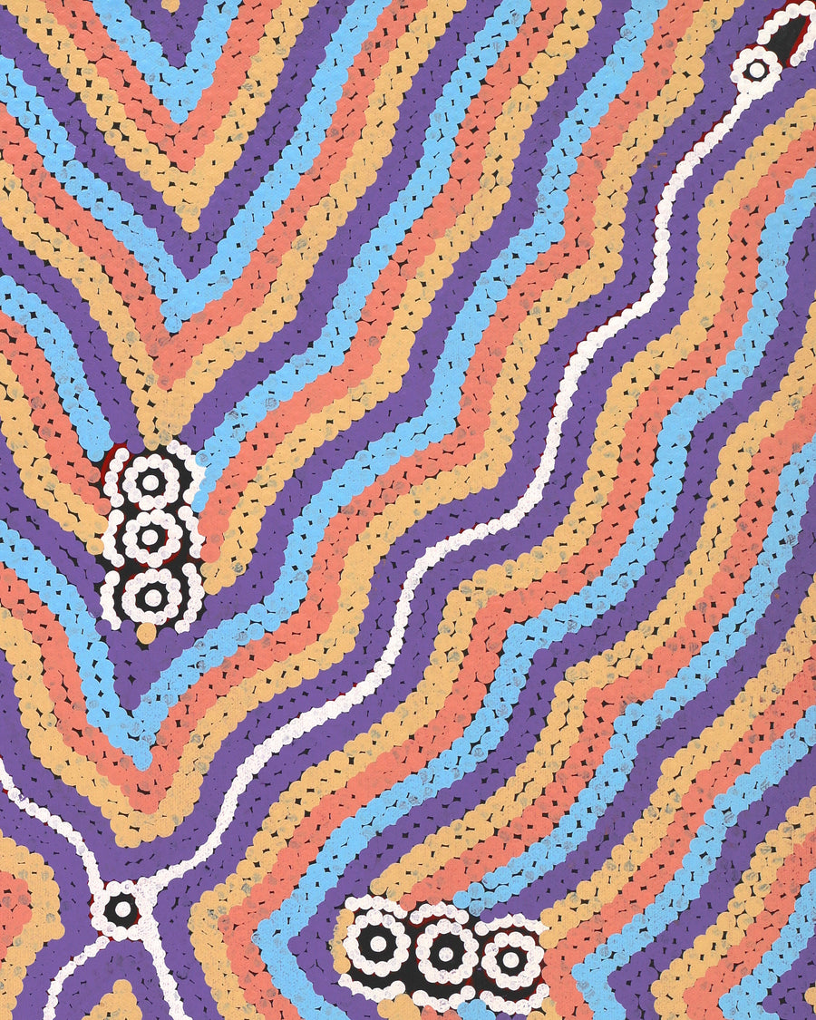 Aboriginal Artwork by Narelle Nangala Brown, Watiya-warnu Jukurrpa (Seed Dreaming), 61x46cm
