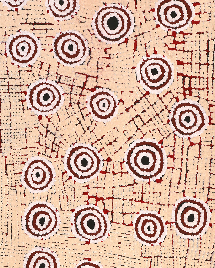 Aboriginal Artwork by Narelle Nangala Brown, Watiya-warnu Jukurrpa (Seed Dreaming), 91x30cm