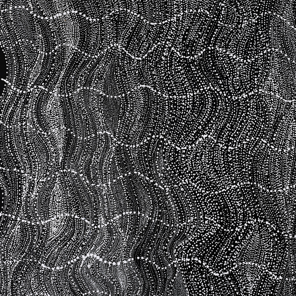 Aboriginal Artwork by Natasha Nakamarra Oldfield, Warna Jukurrpa (Snake Dreaming), 122x122cm