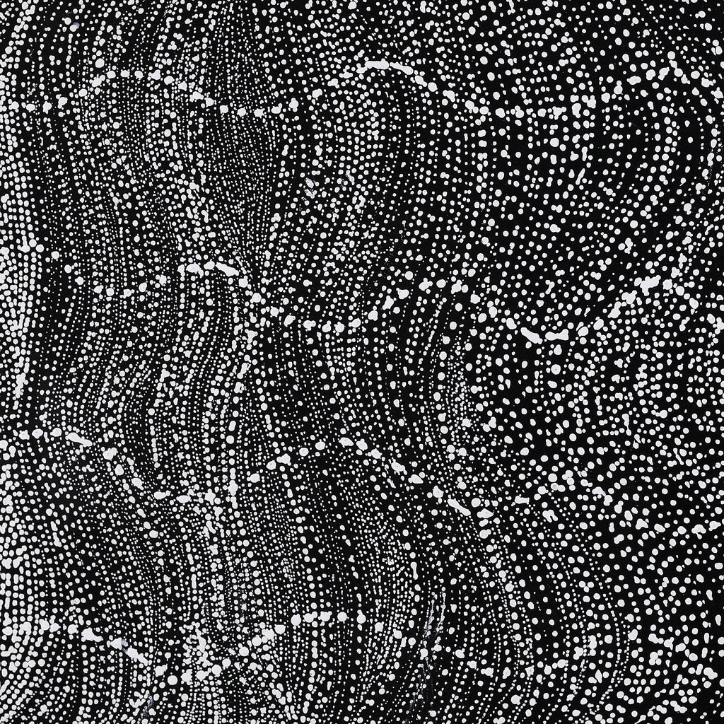 Aboriginal Artwork by Natasha Nakamarra Oldfield, Warna Jukurrpa (Snake Dreaming), 122x122cm
