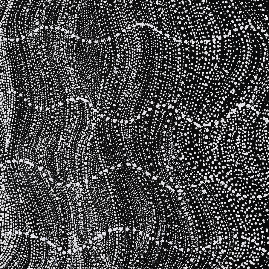 Aboriginal Artwork by Natasha Nakamarra Oldfield, Warna Jukurrpa (Snake Dreaming), 122x122cm