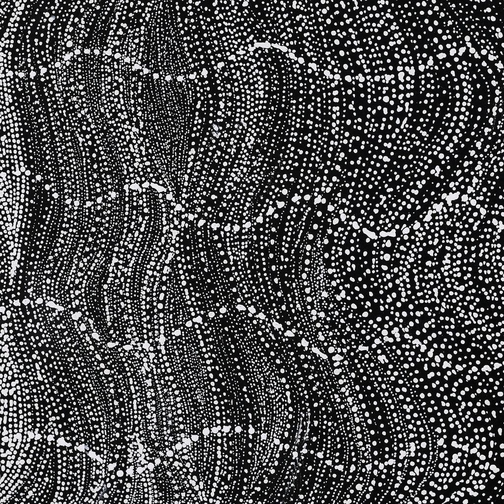 Aboriginal Art by Natasha Nakamarra Oldfield, Warna Jukurrpa (Snake Dreaming), 122x122cm - ART ARK®