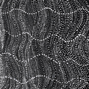 Aboriginal Art by Natasha Nakamarra Oldfield, Warna Jukurrpa (Snake Dreaming), 122x122cm - ART ARK®