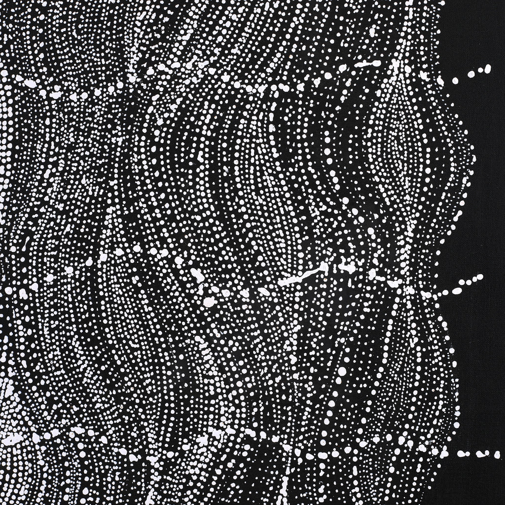 Aboriginal Artwork by Natasha Nakamarra Oldfield, Warna Jukurrpa (Snake Dreaming), 122x122cm