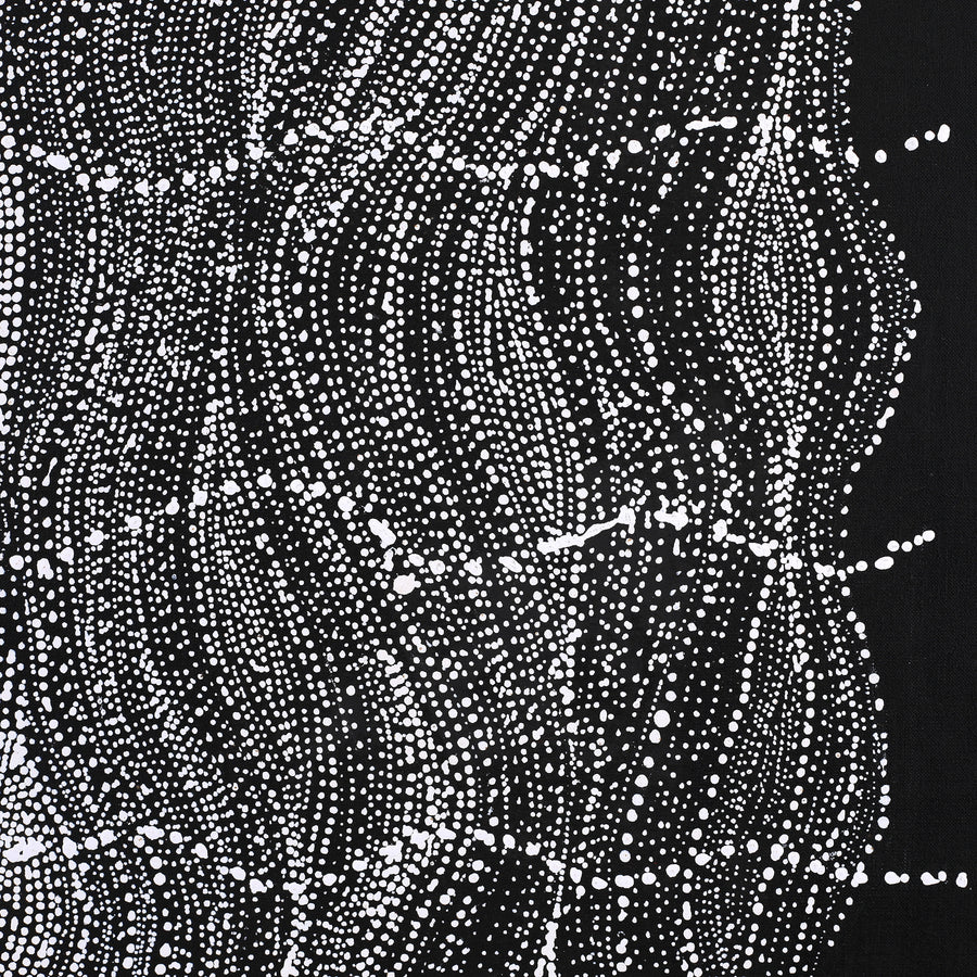 Aboriginal Artwork by Natasha Nakamarra Oldfield, Warna Jukurrpa (Snake Dreaming), 122x122cm