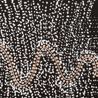 Aboriginal Artwork by Natasha Nakamarra Oldfield, Warna Jukurrpa (Snake Dreaming), 30x30cm