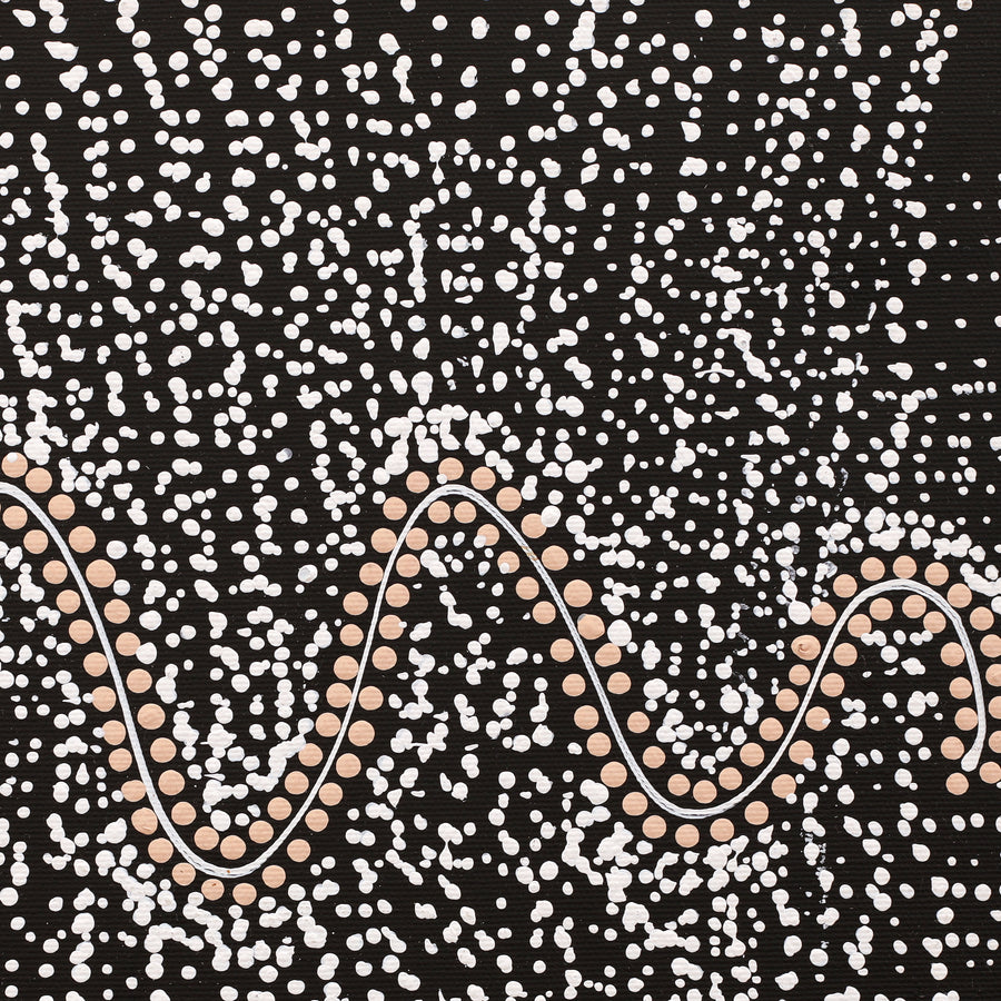 Aboriginal Artwork by Natasha Nakamarra Oldfield, Warna Jukurrpa (Snake Dreaming), 30x30cm