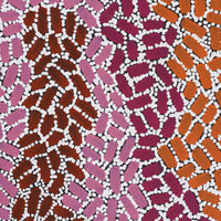 Aboriginal Artwork by Nathania Nangala Granites, Warlukurlangu Jukurrpa (Fire country Dreaming), 91x76cm