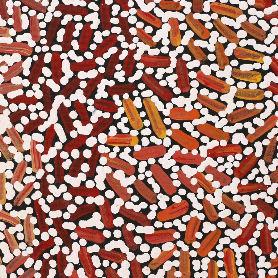 Aboriginal Artwork by Nathania Nangala Granites, Warlukurlangu Jukurrpa (Fire country Dreaming), 152x76cm